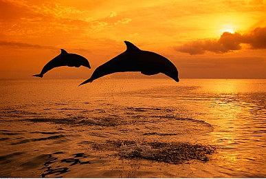 一战背景生存恐怖游戏《战壕惊魂》现已在Steam平台推出试玩Demo